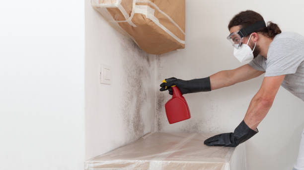 Professional Mold Testing technician working in Washington, IL