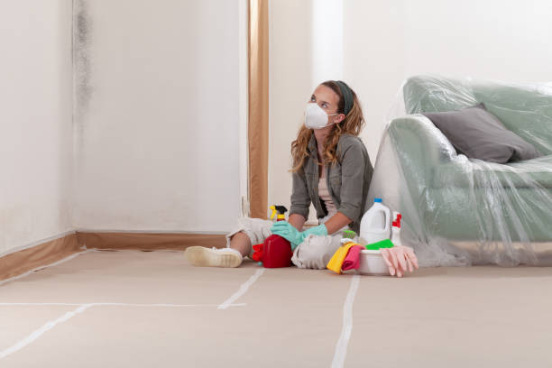 Reliable Mold Testing contractor in Washington, IL by WQB Mold Removal